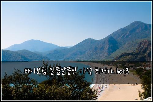 태아보험 알뜰살뜰팁  가격 최저가 hot3