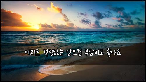 ๋ฉ๋ฆฌ์ธ ๊ฑฑ์ ์๋ ์๋ณดํ ๋ถ๋ด๋น๊ต ์ข๋์