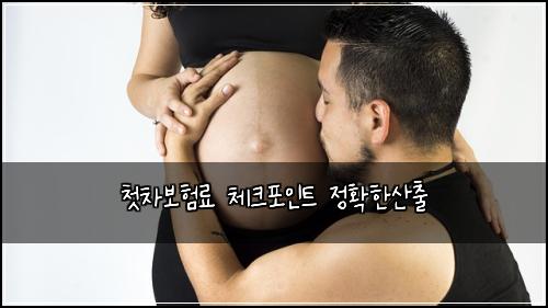 첫차보험료 체크포인트 정확한산출