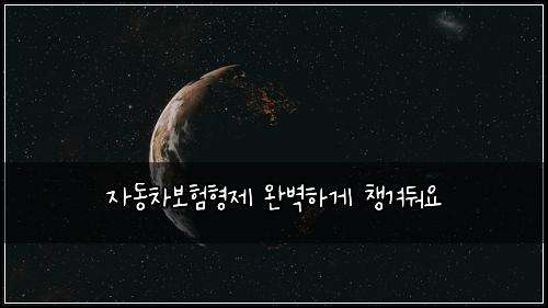 자동차보험형제 완벽하게 챙겨둬요