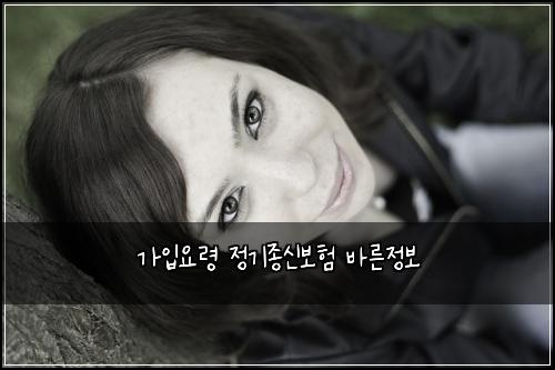 가입요령 정기종신보험 바른정보 