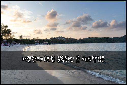 저렴한태아보험 실속확인  굳 체크할점은