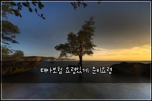 태아보험 요령있게  준비요령