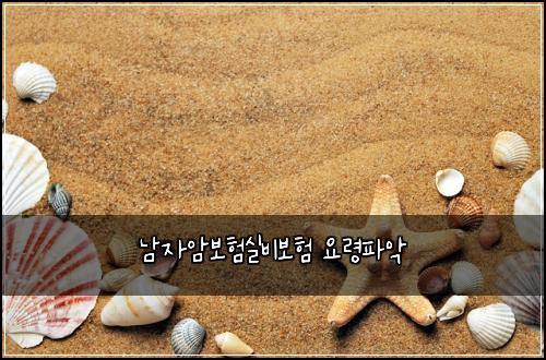 남자암보험실비보험 요령파악