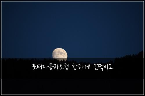 ํฌํฐ์๋์ฐจ๋ณดํ ํซํ๊ฒ ๊ฒฌ์ ๋น๊ต