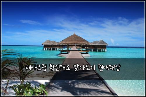 태아보험 확인해요  알아보기 현대해상