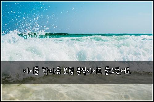 아이들 학자금 보험 분석사이트  들으셨어요