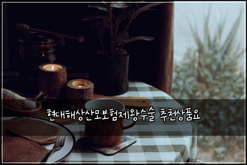 현대해상산모보험제왕수술 추천상품요