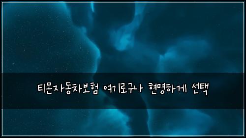 티몬자동차보험 여기로구나  현명하게 선택