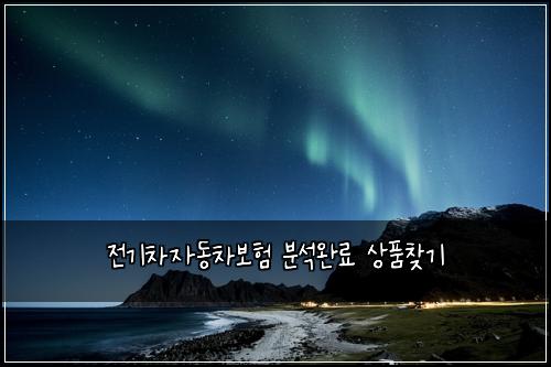 전기차자동차보험 분석완료  상품찾기