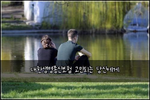 대한생명종신보험 고민되는 당신에게
