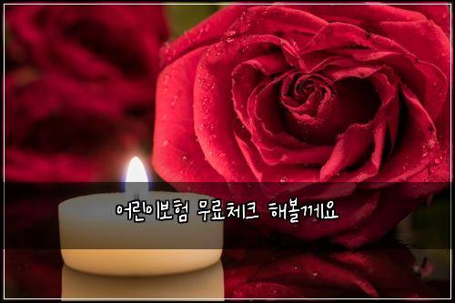 어린이보험 무료체크  해볼께요