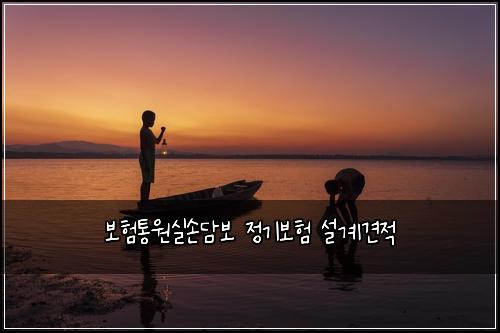 보험통원실손담보 정기보험 설계견적