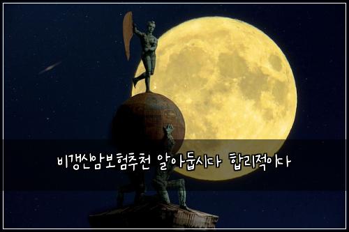 비갱신암보험추천 알아둡시다 합리적이다