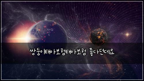 쌍둥이태아보험태아보험 좋다던데요