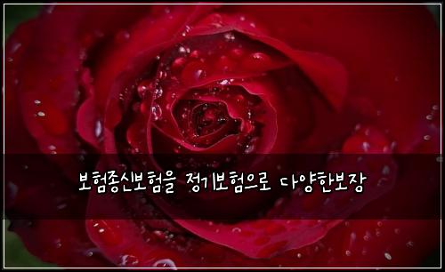 보험종신보험을 정기보험으로 다양한보장