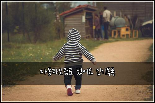 자동차보험료 냈어요 인기목록