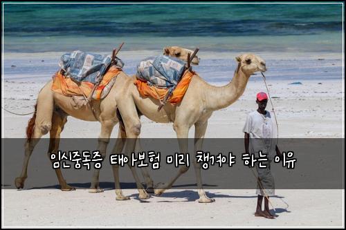 임신중독증 태아보험 미리 챙겨야 하는 이유
