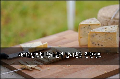 매리츠암보험 평가분석  남다른곳 관련정보