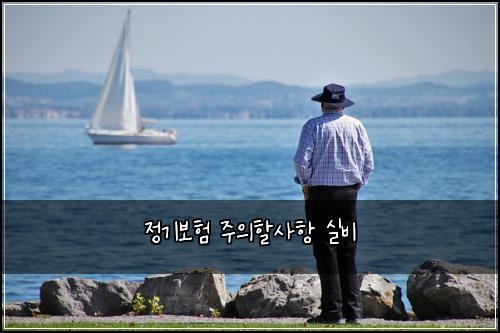 정기보험 주의할사항  실비 