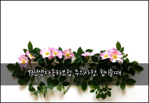 93๋
์์๋์ฐจ๋ณดํ ์ฃผ์์ฌํญ ํ์ด๋ค๋