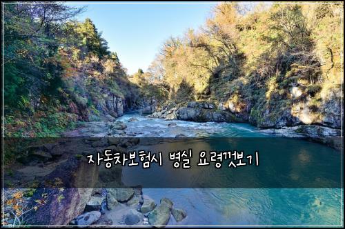 ์๋์ฐจ๋ณดํ์ ๋ณ์ค ์๋ น๊ป๋ณด๊ธฐ