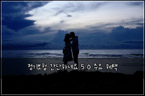 정기보험 간단하네요  5 0 주요 혜택