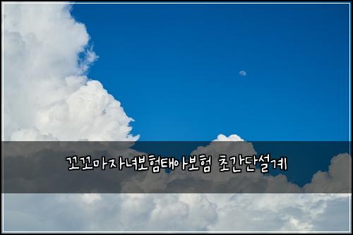 꼬꼬마자녀보험태아보험 초간단설계