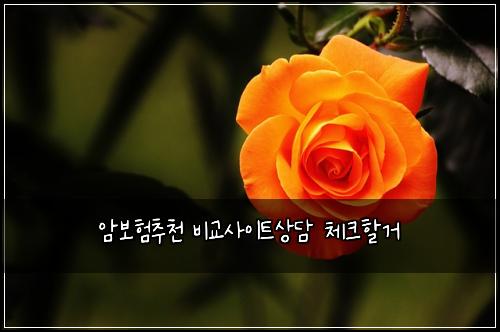 암보험추천 비교사이트상담 체크할거