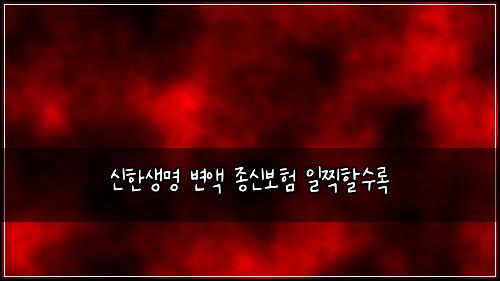 신한생명 변액 종신보험 일찍할수록 