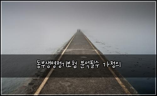 동부생명정기보험 분석필수  가정의