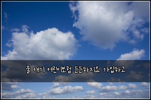 울 애기 어린이보험 든든하지요  가입하고