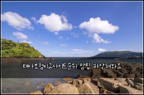 태아보험비교사이트순위 맘팁 파악해봐요