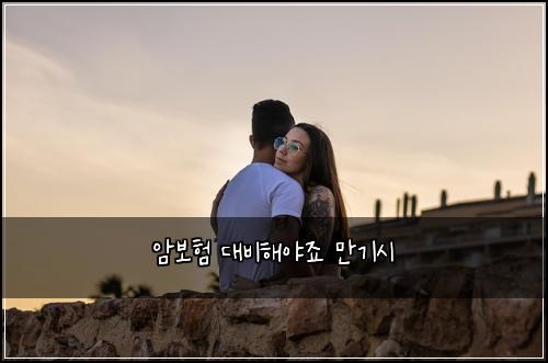 암보험 대비해야죠  만기시