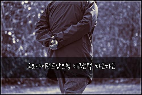 교보다이렉트암보험 비교선택  차근차근