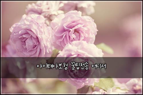 아이태아보험 꿀팁전송  어디서