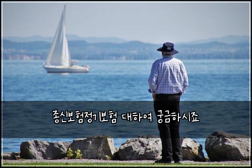종신보험정기보험 대하여 궁금하시죠