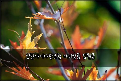신한아이사랑보험 대비상품  입원금
