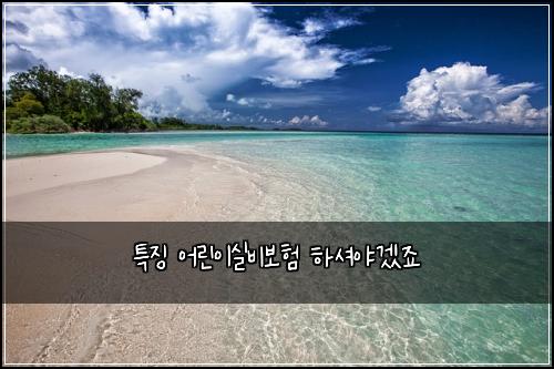 ํน์ง ์ด๋ฆฐ์ด์ค๋น๋ณดํ ํ์
์ผ๊ฒ ์ฃ