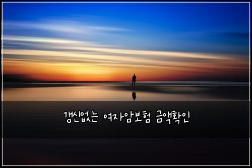 갱신없는 여자암보험 금액확인 