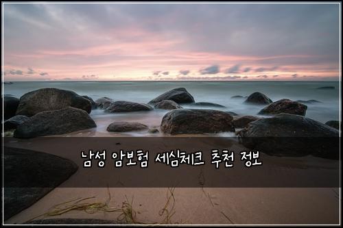 남성 암보험 세심체크  추천 정보