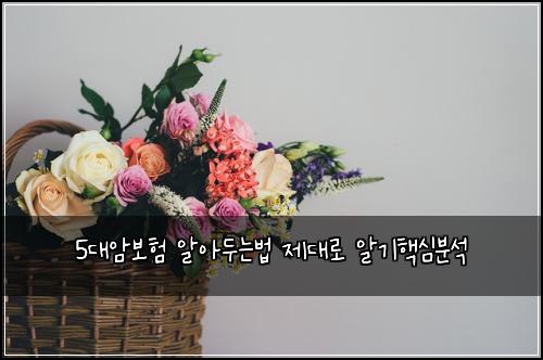 5대암보험 알아두는법  제대로 알기핵심분석