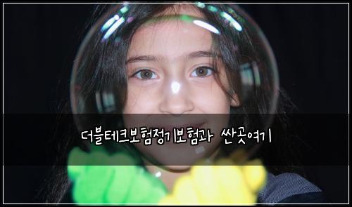 더블테크보험정기보험과 싼곳여기