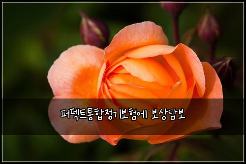 퍼펙트통합정기보험에 보상담보