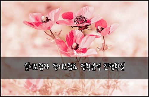 실비보험과 정기보험요 정확분석 진행확실