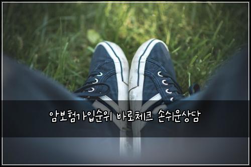 암보험가입순위 바로체크 손쉬운상담