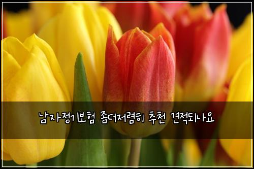 ๋จ์์ ๊ธฐ๋ณดํ ์ข๋์ ๋ ดํ ์ถ์ฒ ๊ฒฌ์ ๋๋์