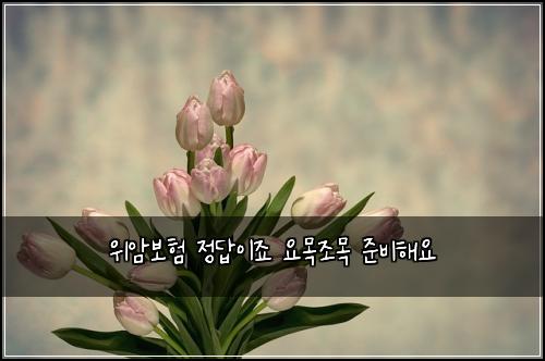 위암보험 정답이죠  요목조목 준비해요