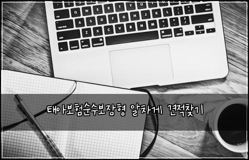 태아보험순수보장형 알차게 견적찾기