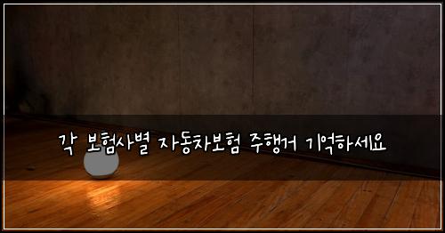 각 보험사별 자동차보험 주행거 기억하세요